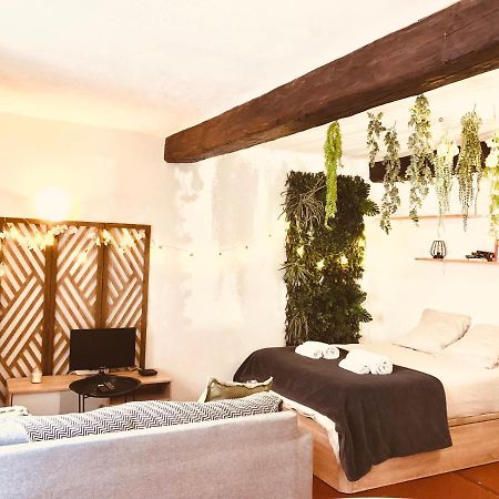 Jungle Hyper Centre Apartment นีมส์ ภายนอก รูปภาพ
