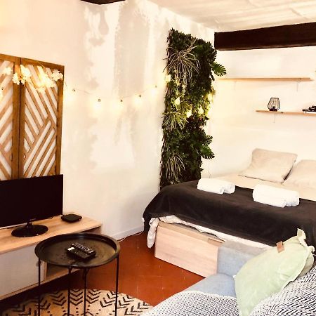 Jungle Hyper Centre Apartment นีมส์ ภายนอก รูปภาพ