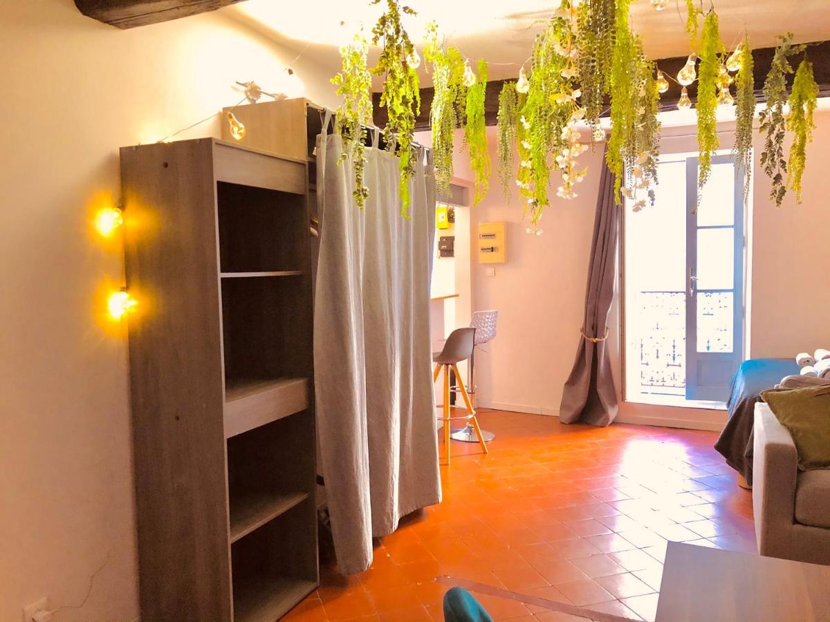 Jungle Hyper Centre Apartment นีมส์ ภายนอก รูปภาพ