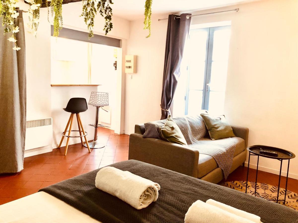 Jungle Hyper Centre Apartment นีมส์ ภายนอก รูปภาพ
