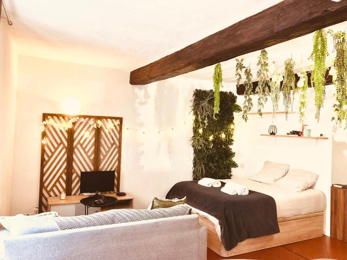 Jungle Hyper Centre Apartment นีมส์ ภายนอก รูปภาพ